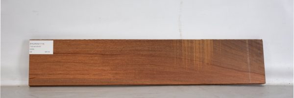 PAUROS1110_2