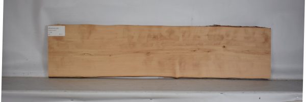 PEARSW1282_2