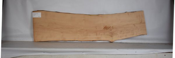 PEARSW1283_2