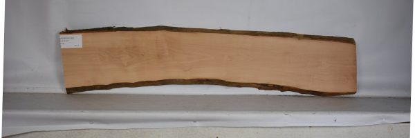 PEARSW1289_1