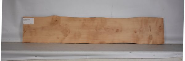 PEARSW1290_2