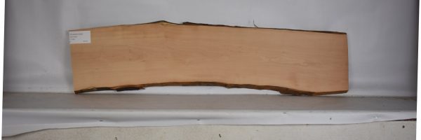 PEARSW1292_1
