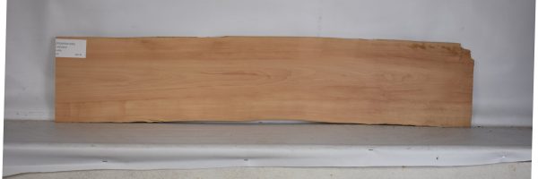PEARSW1299_1