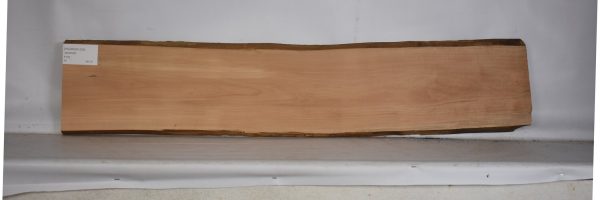 PEARSW1299_2