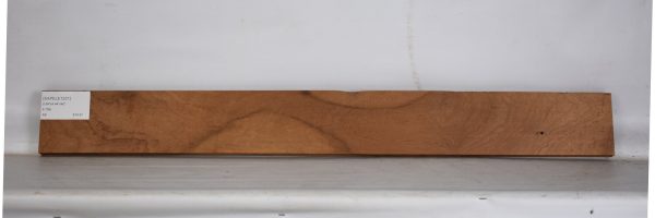 SAPELE1201_1
