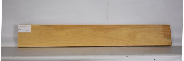 SATINEI1204_2