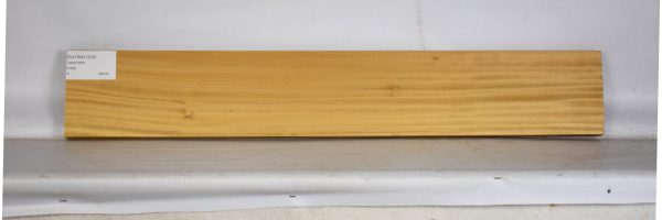 SATINEI1205_1