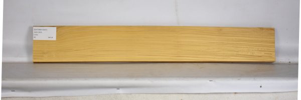 SATINEI1207_1