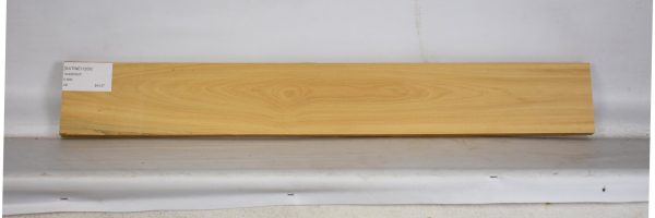 SATINEI1209_2