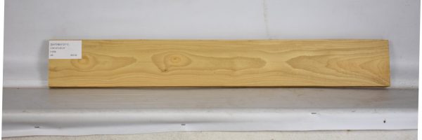 SATINEI1211_2
