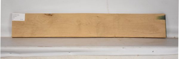 ALDER1099_2