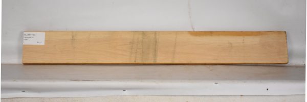 ALDER1106_2