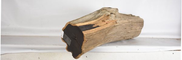 BLAF1264_2