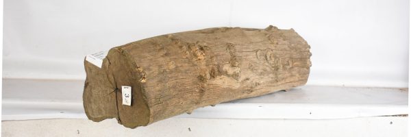 BLAF1265_2