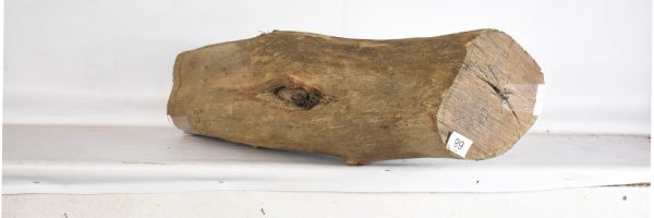 BLAF1266_2