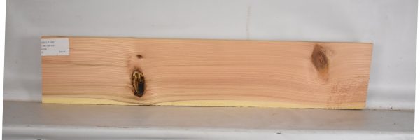 CEDJ1259_2