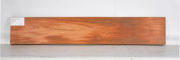 CHAKVIG1199_2