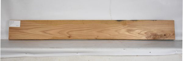 ELM1162_1