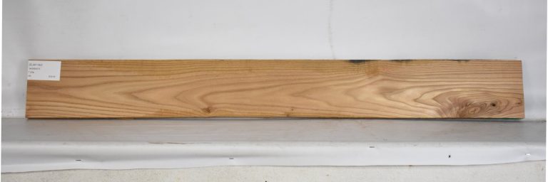 ELM1162_1