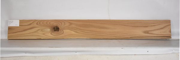 ELM1163_2