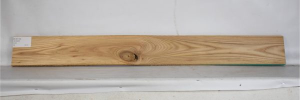 ELM1164_1