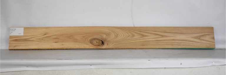 ELM1164_1