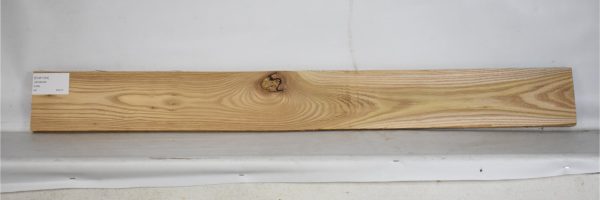 ELM1164_2