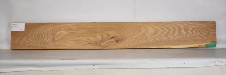 ELM1166_1