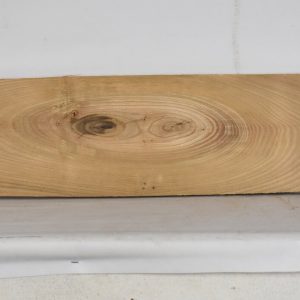 ELM1168_1