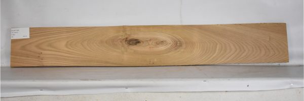 ELM1168_1
