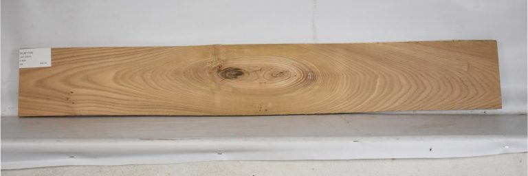 ELM1168_1