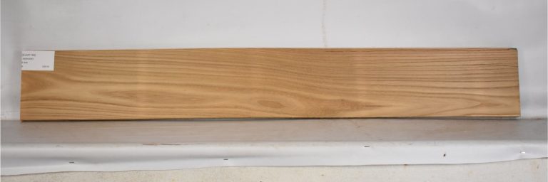 ELM1169_1