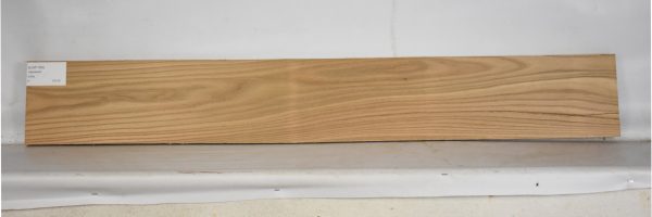 ELM1169_2