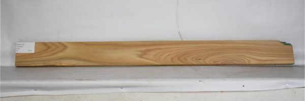 ELM1170_1
