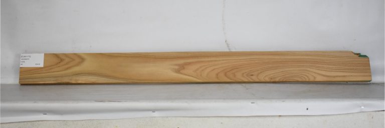 ELM1170_1