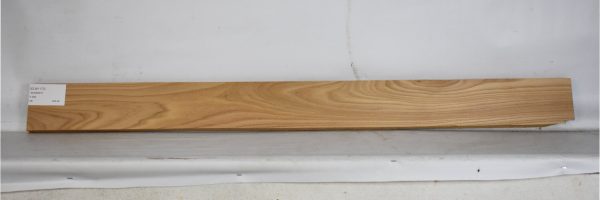 ELM1170_2
