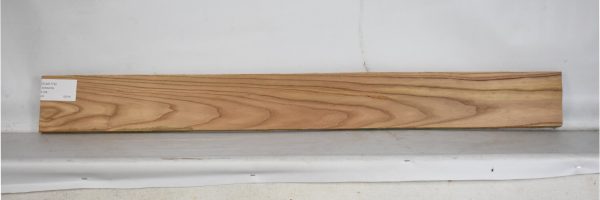 ELM1174_2