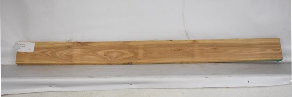ELM1179_1