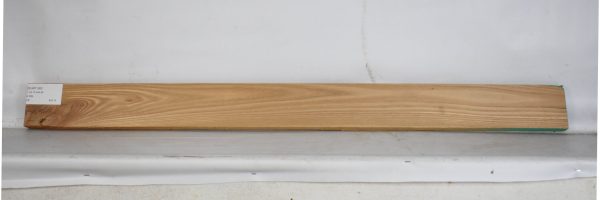 ELM1180_2