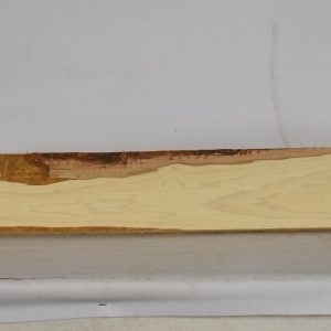 HICK1199_1