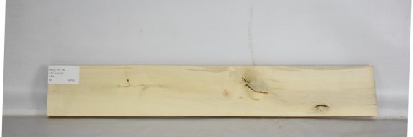 HOLLY1178_1