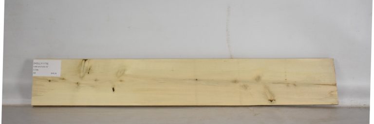 HOLLY1179_1