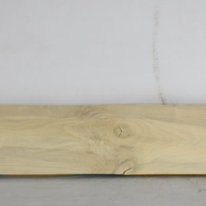 HOLLY1180_1