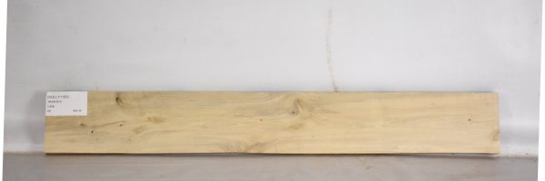 HOLLY1180_2