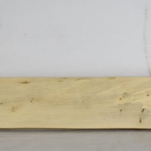 HOLLY1181_1
