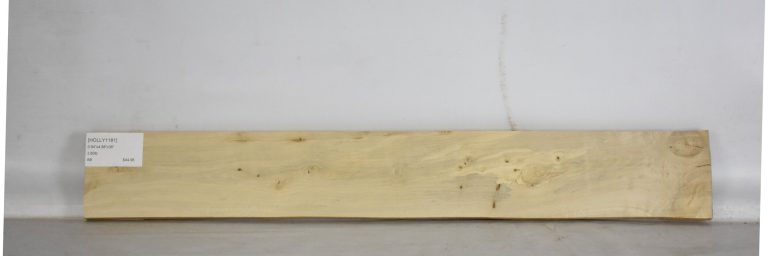 HOLLY1181_1