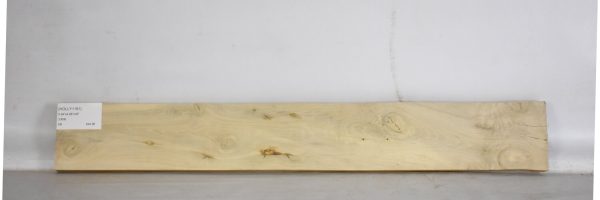 HOLLY1181_2
