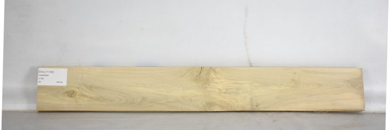 HOLLY1182_1