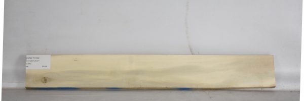 HOLLY1184_2