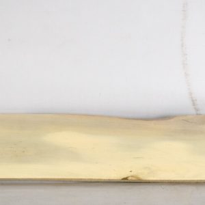 HOLLY1185_1